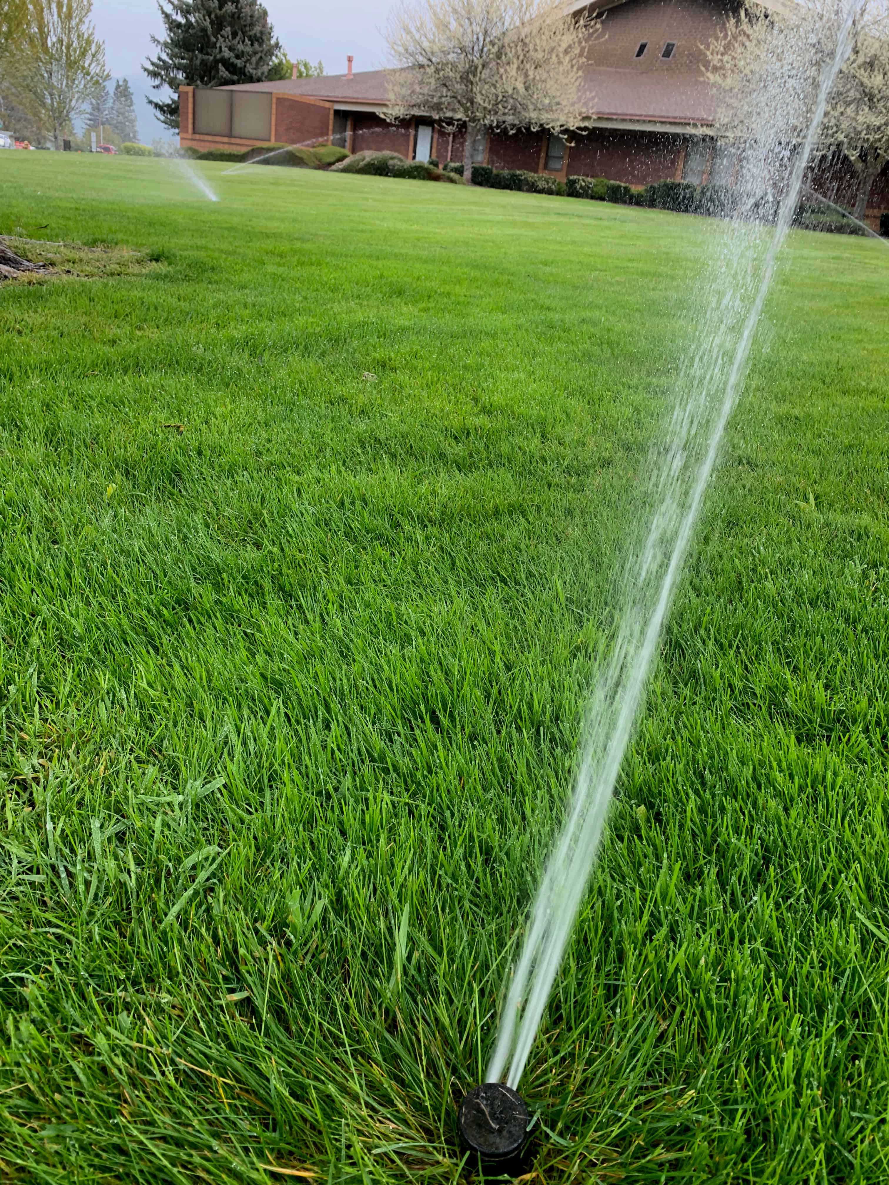 Irrigation Services image
