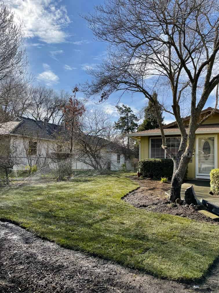 Tree and Shrub Care Services image