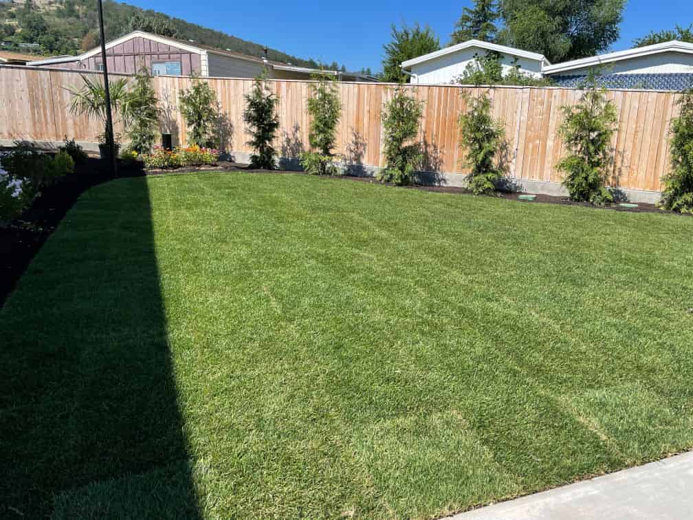 Lawn Mowing Services image