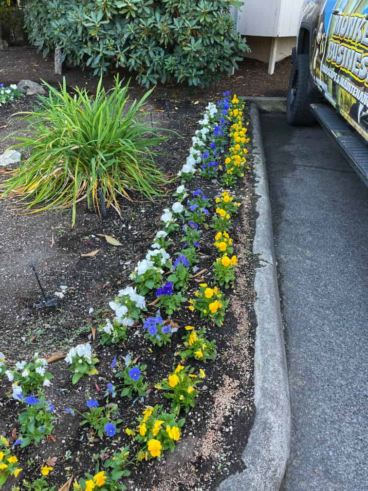 Flower Installation Services image