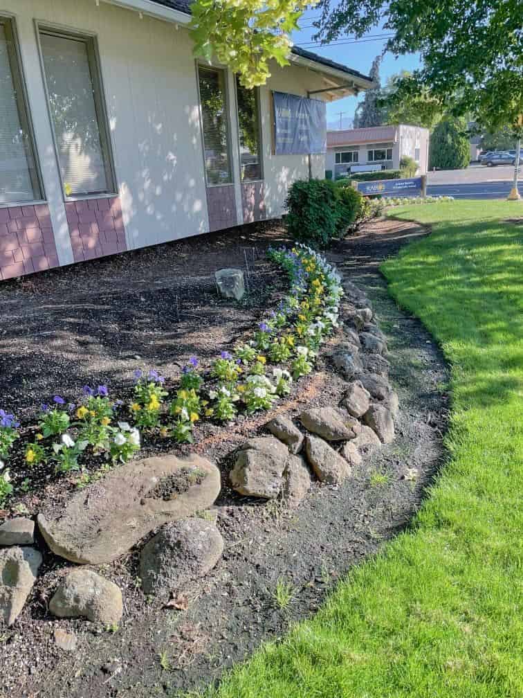 Ornamental Fertilization Services image