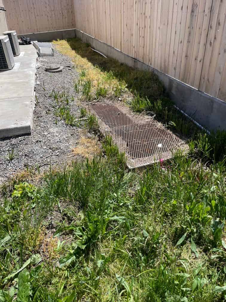Weed Control Services image