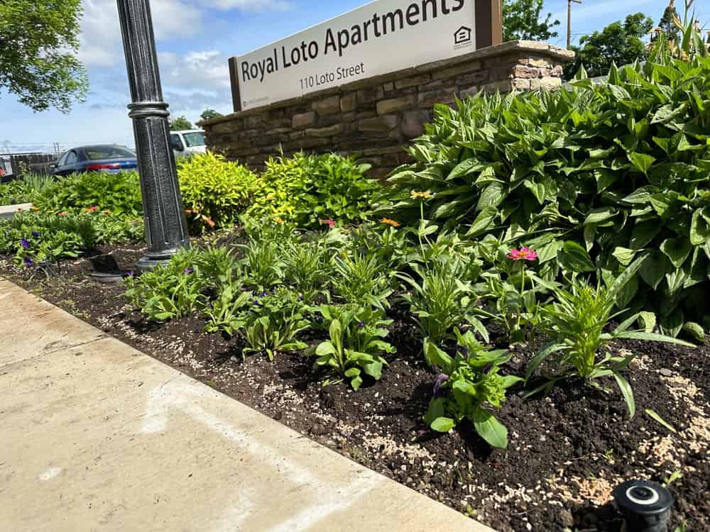 Edging and Trimming Services image