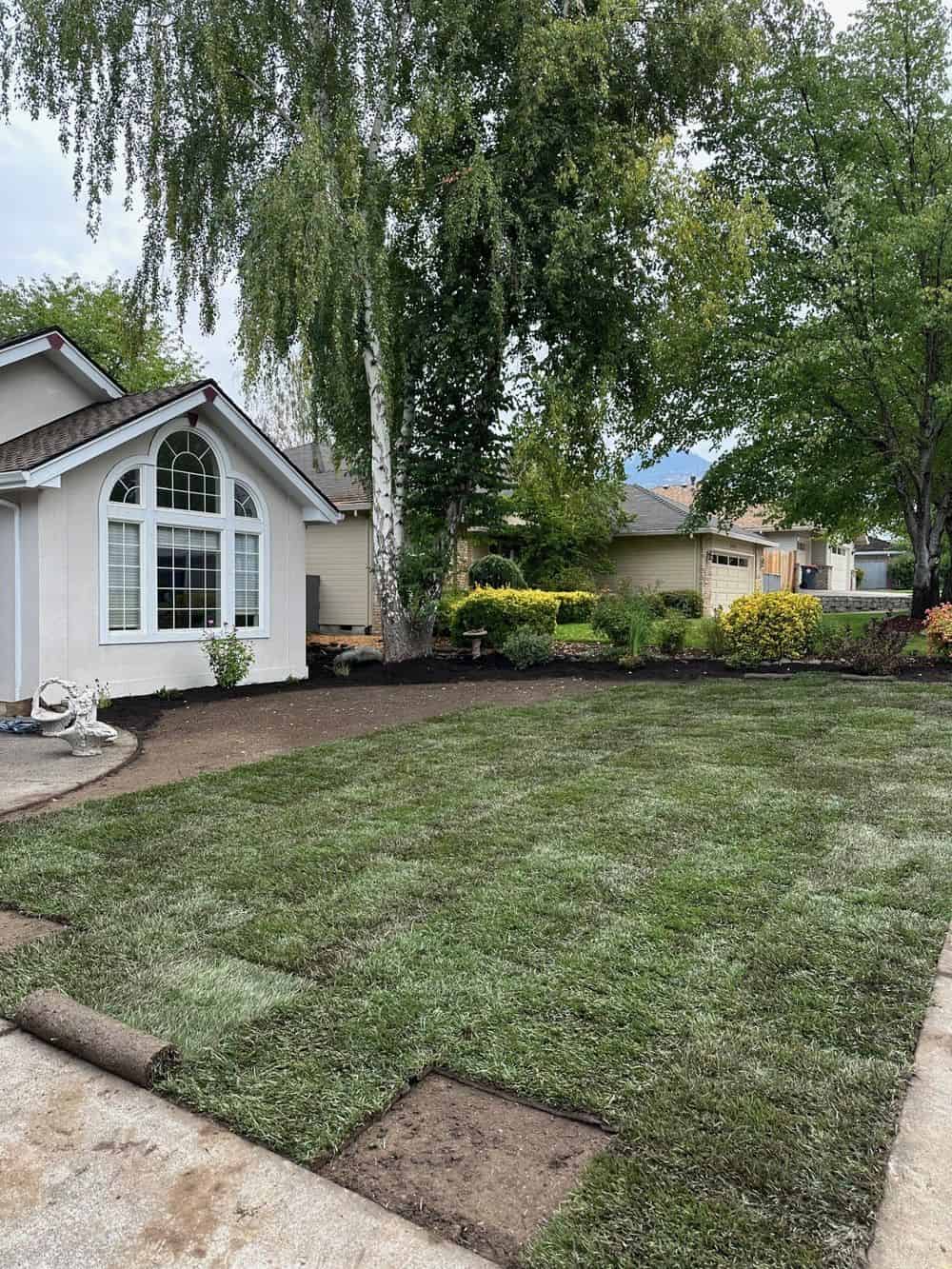 Turf Care Services image