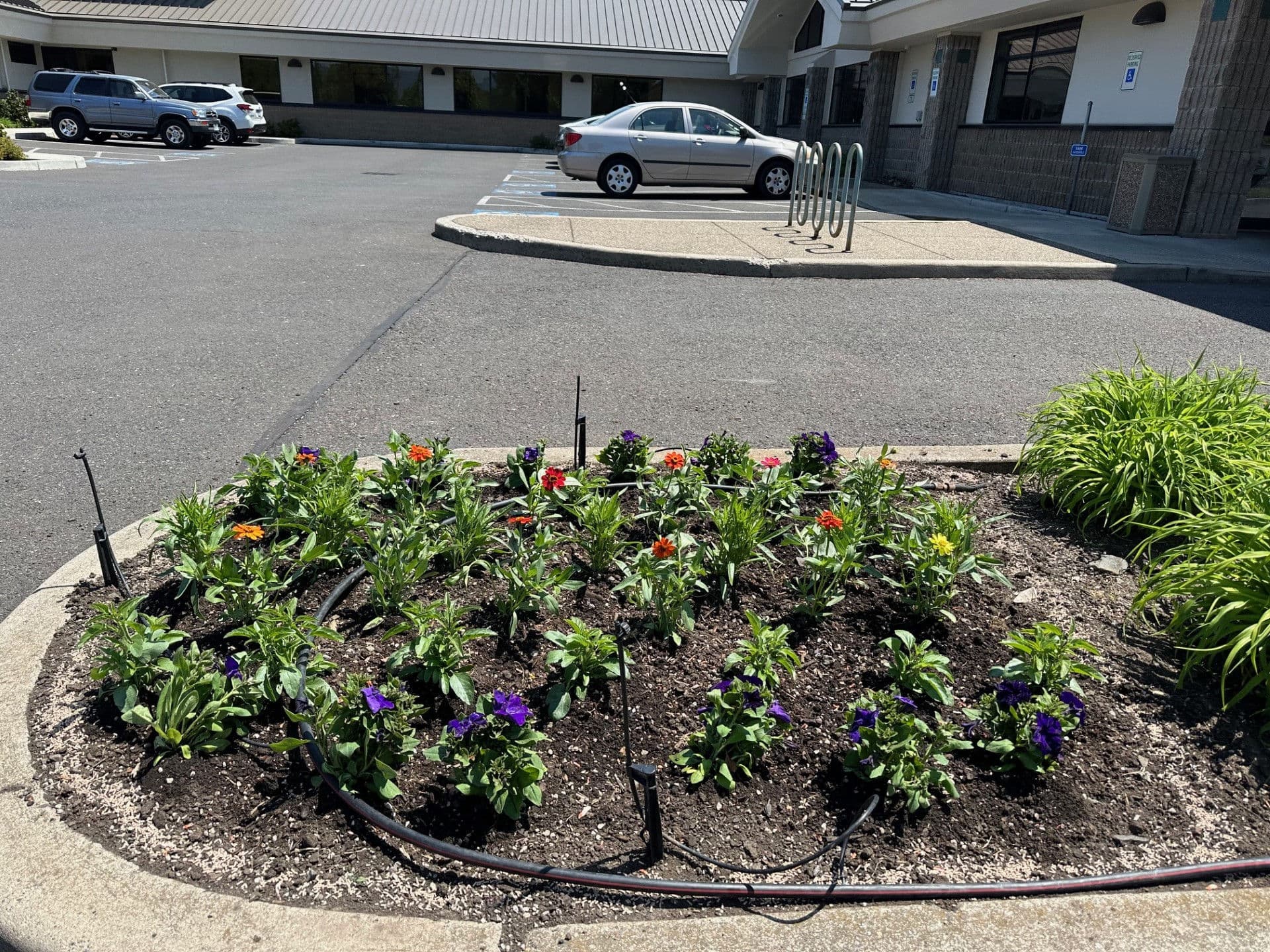 Stunning Floral Landscaping at Medford Surgery Center