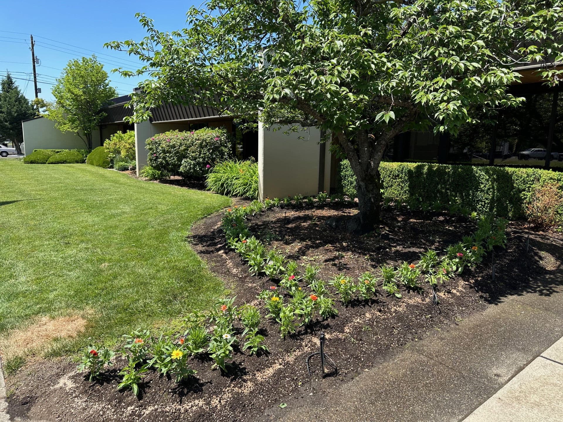 Gallery photos for Enhanced Landscape for Columbia Distributing in Medford: Image #1