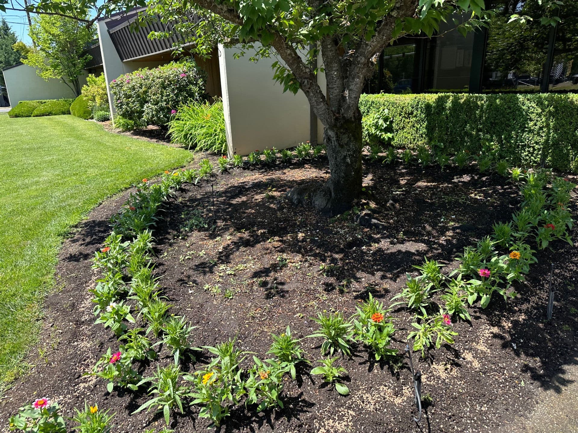 Gallery photos for Enhanced Landscape for Columbia Distributing in Medford: Image #2