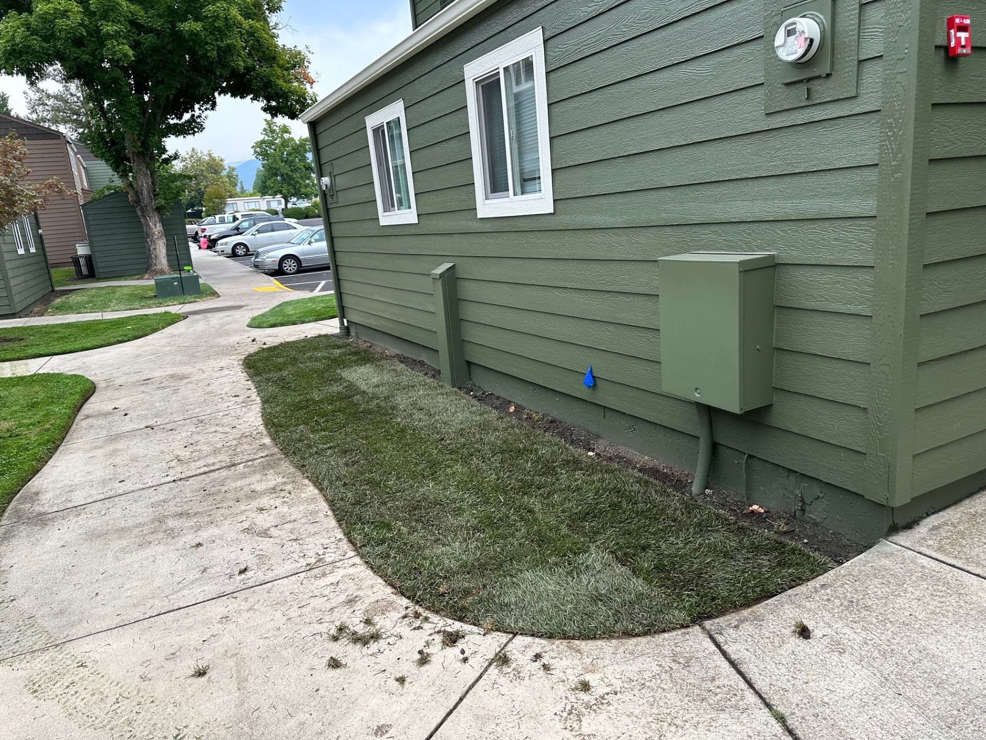 Project Professional Lawn Renovation in Medford OR image