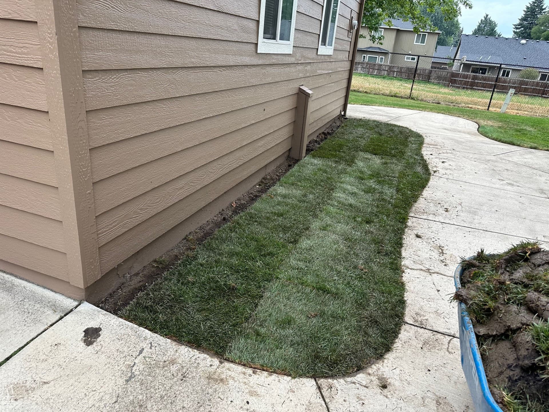 Professional Lawn Renovation in Medford OR
