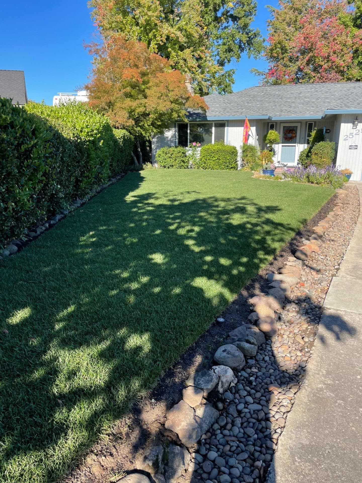 Project Medford Lawn Transformation Safe and Durable Sod Installation image