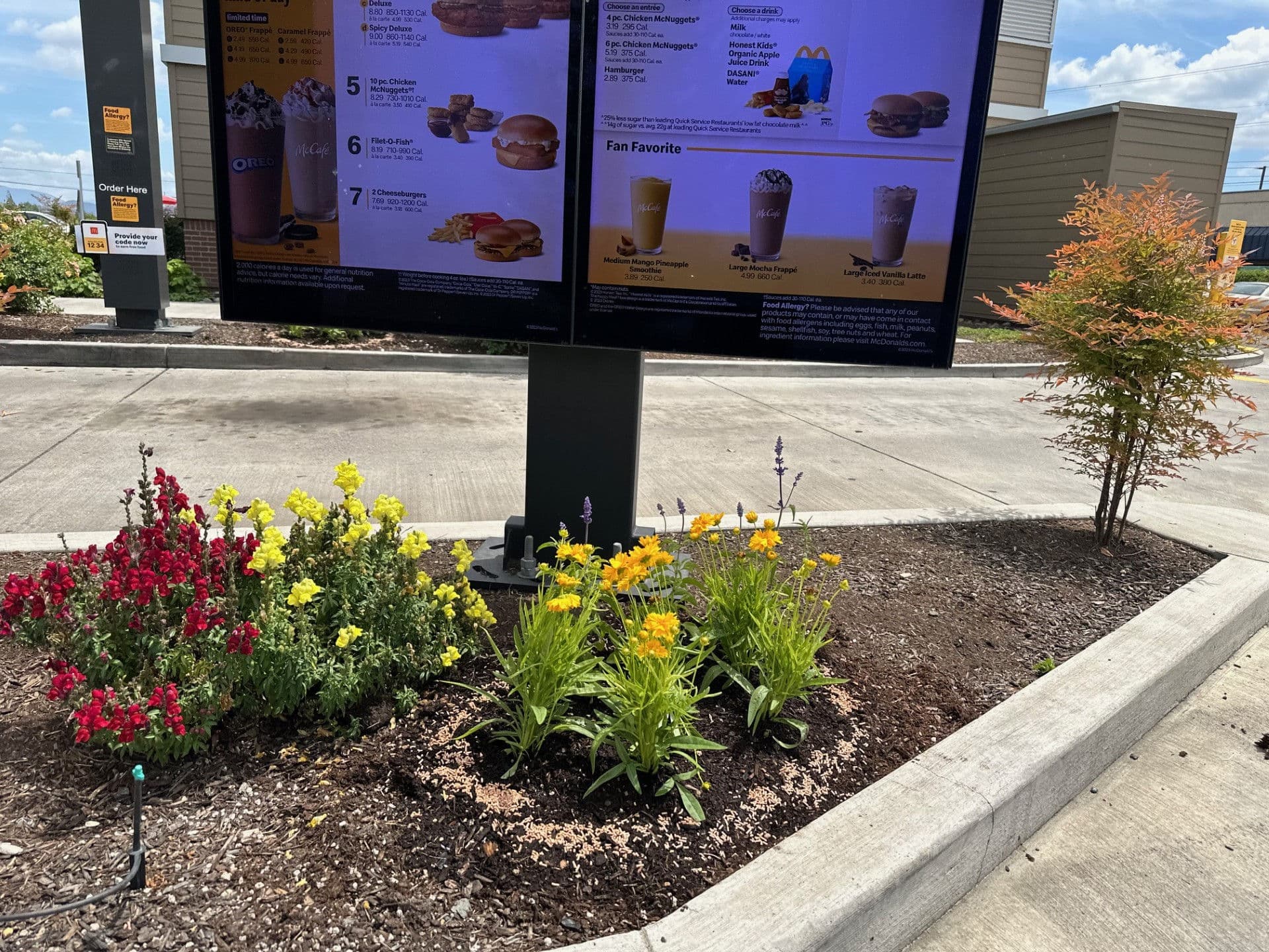 Project Medford OR Drive-Thru Flower Bed Revitalization image